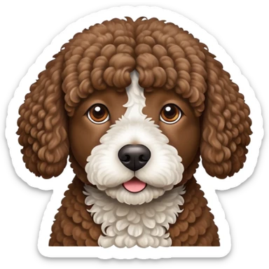 Brown Spanish water dog  sticker