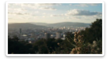 A cinemaatic still of a city, blurred plants in the foreground, shale fly above city sky, rolling hills in the background, cinematic depth of field, layered composition, natural lighting sticker
