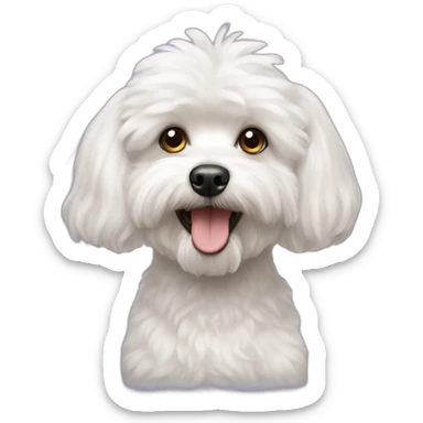 Maltese poodle sticker