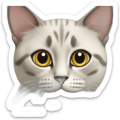 Chat siamois thaï sticker