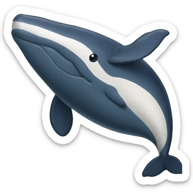 Whale sticker