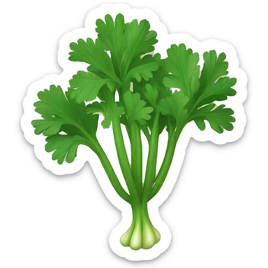 Cilantro sticker