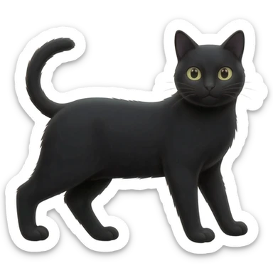 black Cat sticker