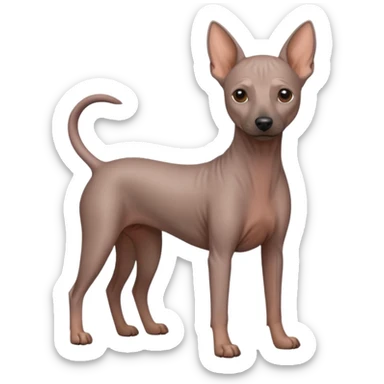 Mexican Hairless Dog sticker