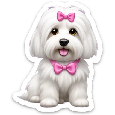 Long haired Coton de Tulear dog with pink harness and pink hair bow sticker