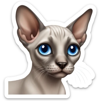 Seal point mink sphynx blue eyes  sticker