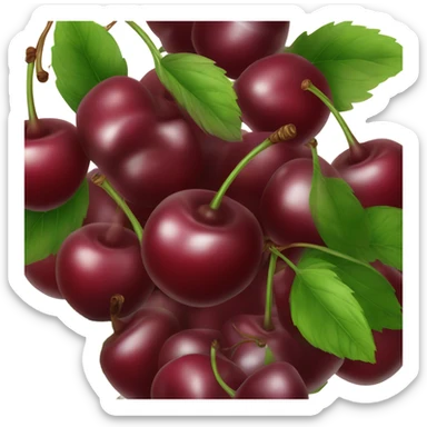 Burgundy cherries ￼ sticker