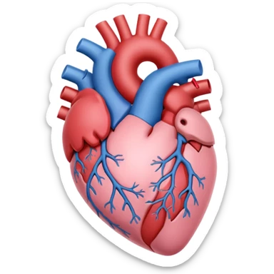 soft pastel pink anatomic heart sticker