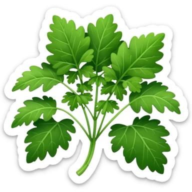 Cilantro  sticker