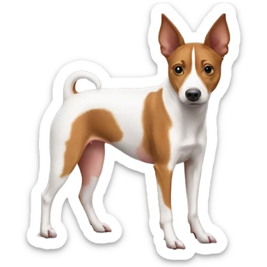 pig basenji sticker