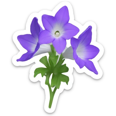Campanula sticker