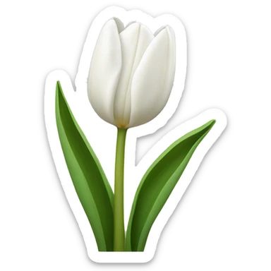 White tulips sticker