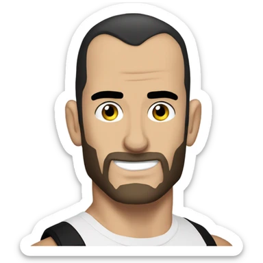 WWE cm punk sticker