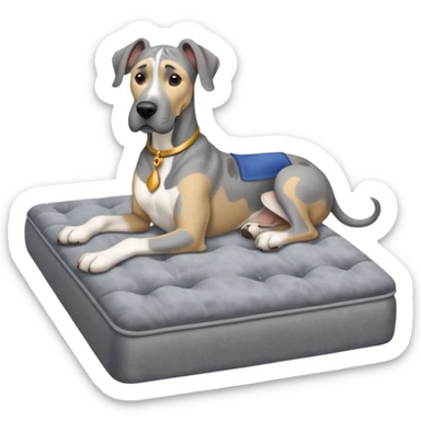 Gray Great Dane on king size mattress floppy ears sticker