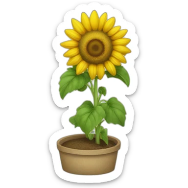 Champs de tournesol sticker