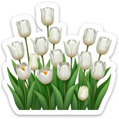 White tulips scenery  sticker