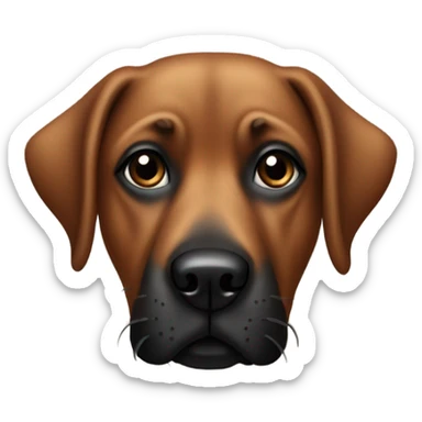 Brown dog with black muzzle and crossed eyes sticker