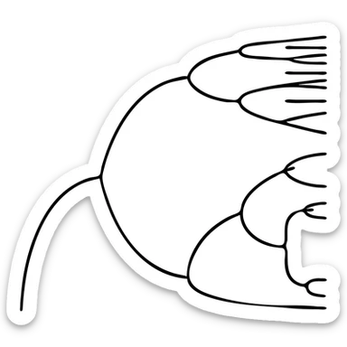 Logistic map bifurcation diagram showing detailed mathematical branching patterns sticker