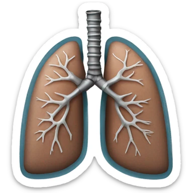 Lungs with right lung reinforced using metal sticker
