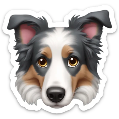border collie blue merle con nariz rosada, una oreja arriba y otra abajo sticker