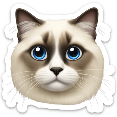 Birman cat sticker