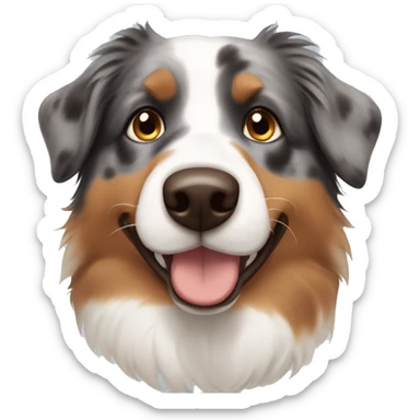 Australian shepherd with bue and brown eyes sticker
