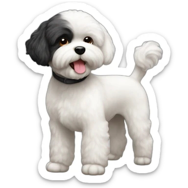 Black bichon maltés  sticker