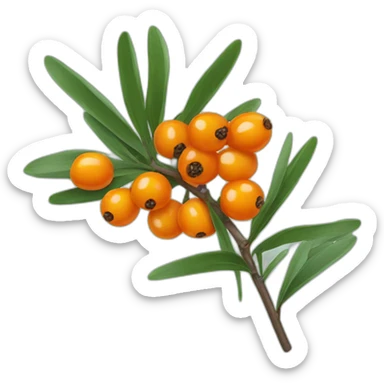 a sprig of sea buckthorn sticker