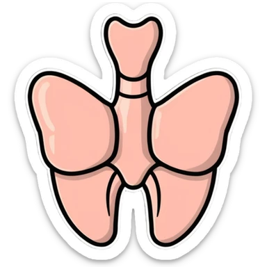 cartoon style thyroid gland, simple and friendly sticker