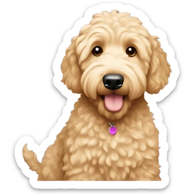 Goldendoodle with blonde hair  sticker