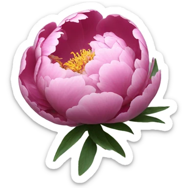 Peony opening  sticker