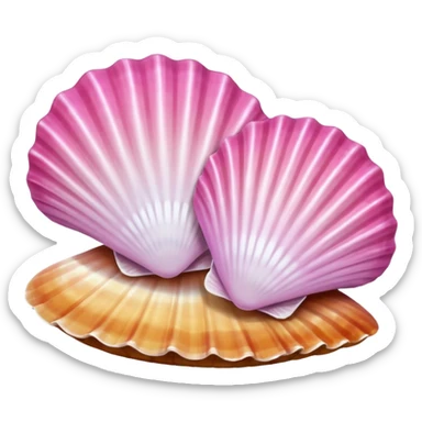 Seashells with pink  sticker