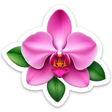 Elegant pink phalaenopsis moth orchid with vibrant rosy petals and two visible green leaves at the base sticker