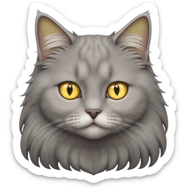 grey fluffy british long hair cat with yellow eyes cuteer  sticker