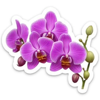 Orchids sticker
