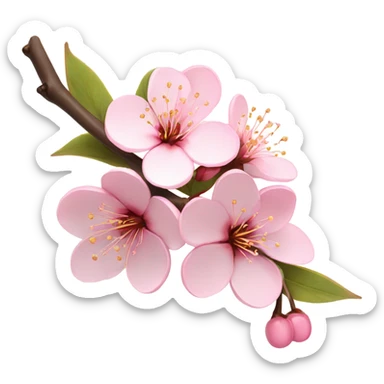 Pink cherry  sticker