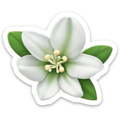 Night Jasmine flower sticker