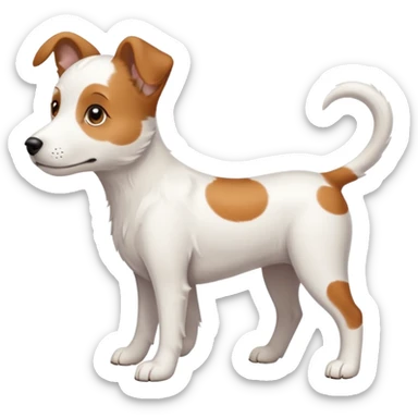 White midle dog Not fluffy with brown eyes and some long white body and white ears with brown spots curved on the sides , walking  sticker
