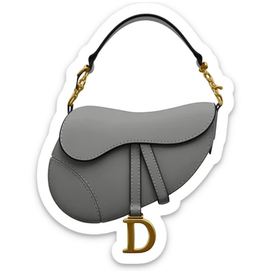 gray dior saddle bag sticker