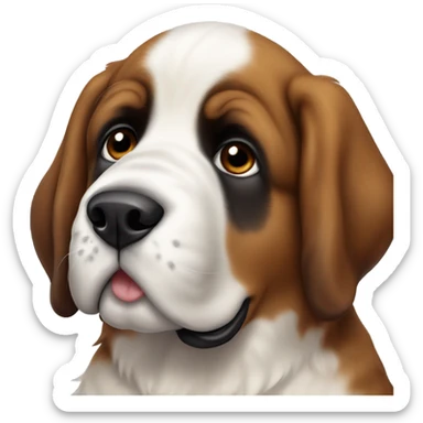 Puppy Saint Bernard with white ear sticker