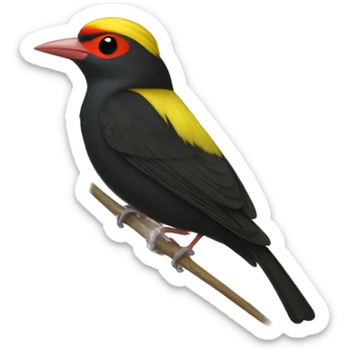 A wire-tailed manakin sticker