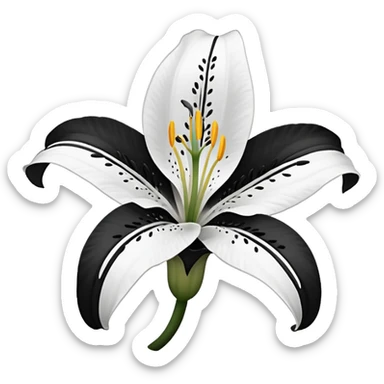 an outline of one singular lily flower, no colour,just outline sticker