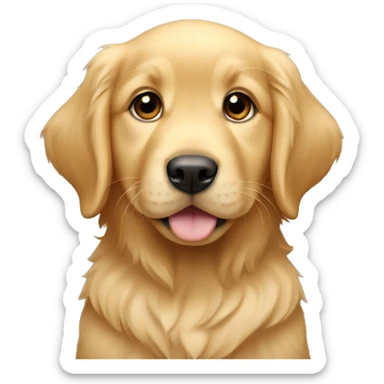 Golden retriever puppy sticker