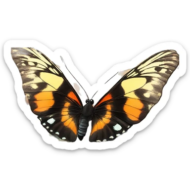 beautiful butterfly sitting on the cat’s nose sticker