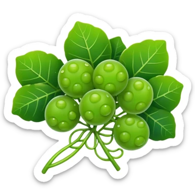 Sea grapes (Caulerpa lentillifera) with an elongated, cylindrical shape, made of many tiny translucent green bead-like bubbles,  much smaller than real grapes, clustered tightly along a thin stem, glossy and fresh, emoji-style illustration, simplified shape, clean outline, cute and minimal sticker