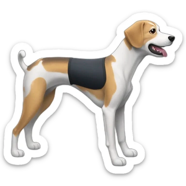 chien coach sportif sticker