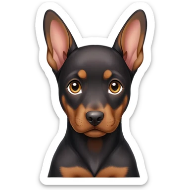 Dobermann puppy falling ear  sticker