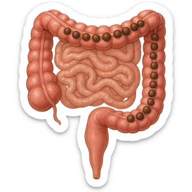 intestino umano anatomico con feci a palline sticker