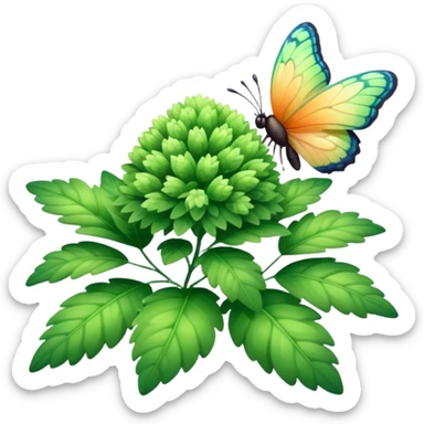 A fluffy bush with soft light-green foliage and a small butterfly sticker