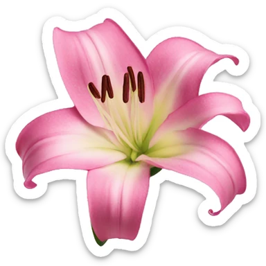 pink lilly sticker
